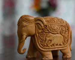 ETHNICRAJASTHANDEFIGWOPLCRAN00601RSOO4_4